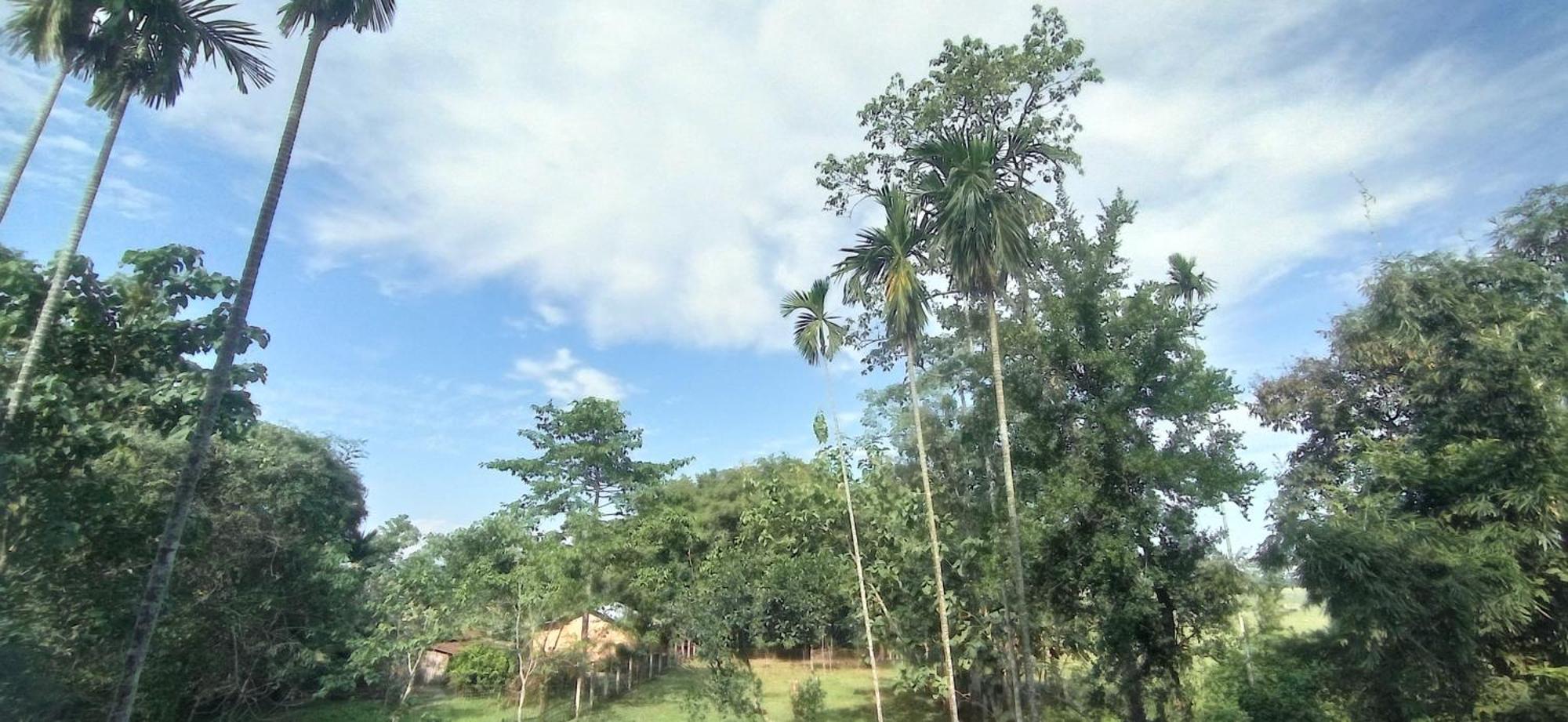 Hotel Kaziranga Holidays 외부 사진